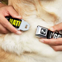 Dog Bone Seatbelt Buckle Collar - I GOT HATERS EVERYWHERE Black/White/Yellow
