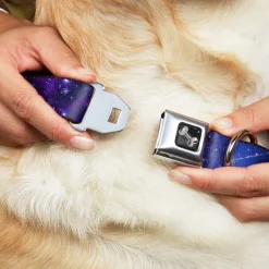 Dog Bone Seatbelt Buckle Collar - Galaxy Blues/Purples