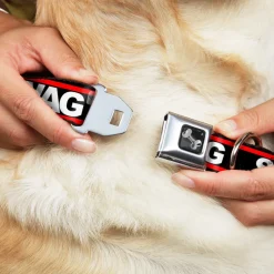 Dog Bone Seatbelt Buckle Collar - SWAGG Black/White/Red Stripe