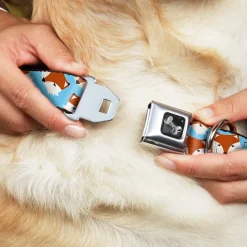 Dog Bone Seatbelt Buckle Collar - Fox Face Scattered Sky Blue