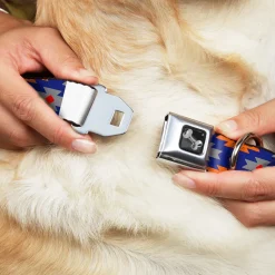 Dog Bone Seatbelt Buckle Collar - Navajo Gray/Blue/Orange/Black
