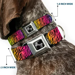 Dog Bone Seatbelt Buckle Collar - Zebra Rainbow Ombre