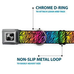 Dog Bone Seatbelt Buckle Collar - Zebra Rainbow Ombre