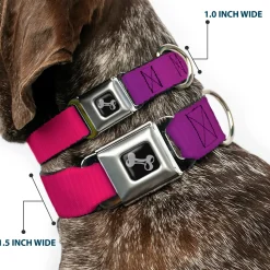 Dog Bone Seatbelt Buckle Collar - Multi Color Blocks