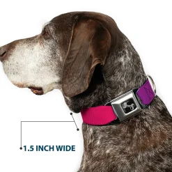 Dog Bone Seatbelt Buckle Collar - Multi Color Blocks