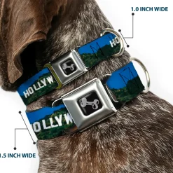 Dog Bone Seatbelt Buckle Collar - Vivid HOLLYWOOD Sign
