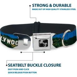 Dog Bone Seatbelt Buckle Collar - Vivid HOLLYWOOD Sign