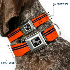 Dog Bone Seatbelt Buckle Collar - Racing Stripe Orange/Navy