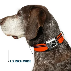 Dog Bone Seatbelt Buckle Collar - Racing Stripe Orange/Navy