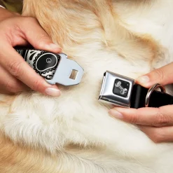 Dog Bone Seatbelt Buckle Collar - Panda Bear Sugar Skull Black/White