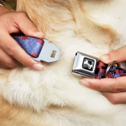 Dog Bone Seatbelt Buckle Collar - Grunge Checker Flag Blue/Red