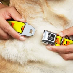 Dog Bone Seatbelt Buckle Collar - CALI Yellow/Orange