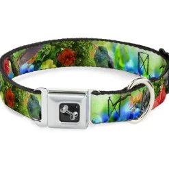 Dog Bone Seatbelt Buckle Collar - Vivid Hummingbird Garden
