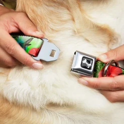 Dog Bone Seatbelt Buckle Collar - Vivid Hummingbird Garden