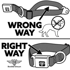 Dog Bone Seatbelt Buckle Collar - Peace Black/Animal Prints