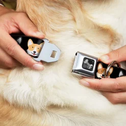 Dog Bone Seatbelt Buckle Collar - Corgi 3-Faces Black