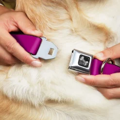 Dog Bone Seatbelt Buckle Collar - Fuchsia