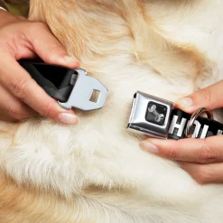 Dog Bone Seatbelt Buckle Collar - HOLLYWOOD Sign Skyline Black/Grays/White