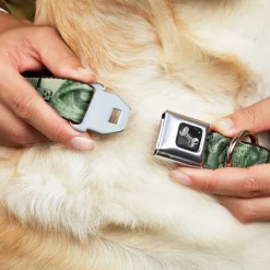 Dog Bone Seatbelt Buckle Collar - One Dollar Bill Eye of Providence/Bald Eagle CLOSE-UP