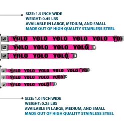 Dog Bone Seatbelt Buckle Collar - YOLO Pink/Black