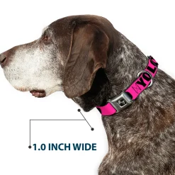 Dog Bone Seatbelt Buckle Collar - YOLO Pink/Black