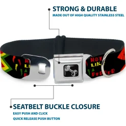 Dog Bone Seatbelt Buckle Collar - Hot Like A Pepper