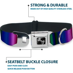 Dog Bone Seatbelt Buckle Collar - Zarape3 Vertical Multi Color Fade