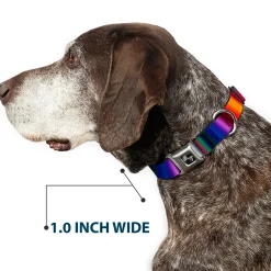 Dog Bone Seatbelt Buckle Collar - Zarape3 Vertical Multi Color Fade