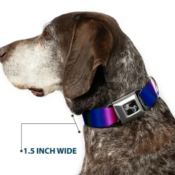 Dog Bone Seatbelt Buckle Collar - Zarape3 Vertical Multi Color Fade