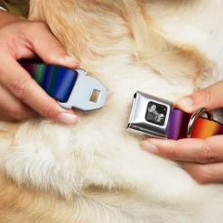 Dog Bone Seatbelt Buckle Collar - Zarape3 Vertical Multi Color Fade