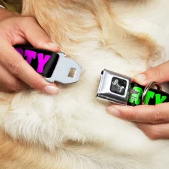 Dog Bone Seatbelt Buckle Collar - PARTY TIME! Black/Green/Turquoise/Fuchsia