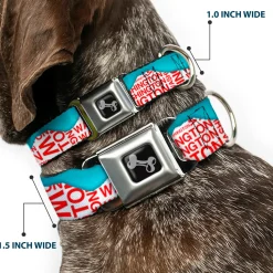 Dog Bone Seatbelt Buckle Collar - WASHINGTON Mountain Range Turquoise/White/Red
