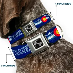 Dog Bone Seatbelt Buckle Collar - Colorado ASPEN Flag/Snowy Mountains Weathered2 Blue/White/Red/Yellows
