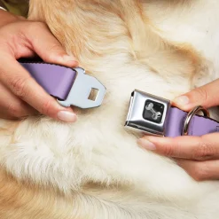 Dog Bone Seatbelt Buckle Collar - Lavender