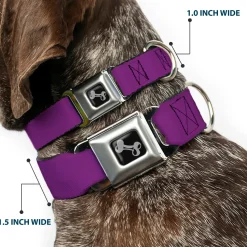 Dog Bone Seatbelt Buckle Collar - Purple