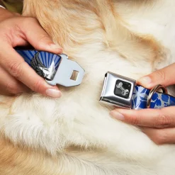 Dog Bone Seatbelt Buckle Collar - Die Hard Skulls & Stars1 Blue/Grays