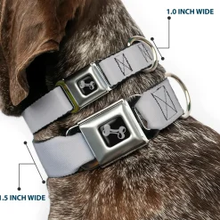 Dog Bone Seatbelt Buckle Collar - Silver