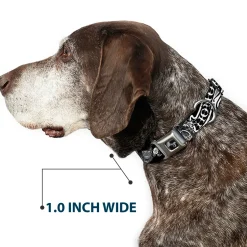 Dog Bone Seatbelt Buckle Collar - Honor Black/White
