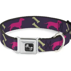 Dog Bone Seatbelt Buckle Collar - Dachshunds & Bones Purple/Fuchsia/Green