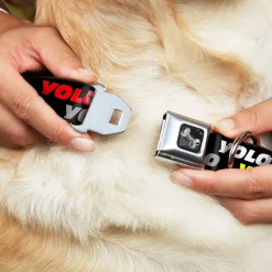 Dog Bone Seatbelt Buckle Collar - YOLO2 Black/Red/White/Gray/Yellow