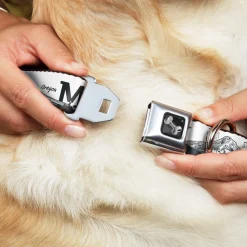Dog Bone Seatbelt Buckle Collar - Oregon MT. HOOD Scenery White/Grays