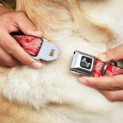Dog Bone Seatbelt Buckle Collar - Paisley Red/White