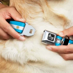 Dog Bone Seatbelt Buckle Collar - Argentina Flags