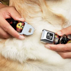 Dog Bone Seatbelt Buckle Collar - Big Eye Owl