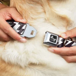 Dog Bone Seatbelt Buckle Collar - Lightning Bolts Sketch Plum/White