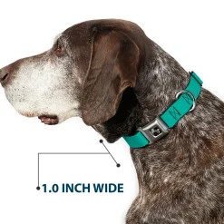 Dog Bone Seatbelt Buckle Collar - Teal