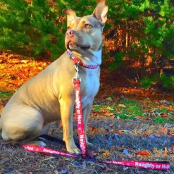 Dog Bone Seatbelt Buckle Collar - Christmas NAUGHTY OR NICE/Snowflakes Reds/White/Green