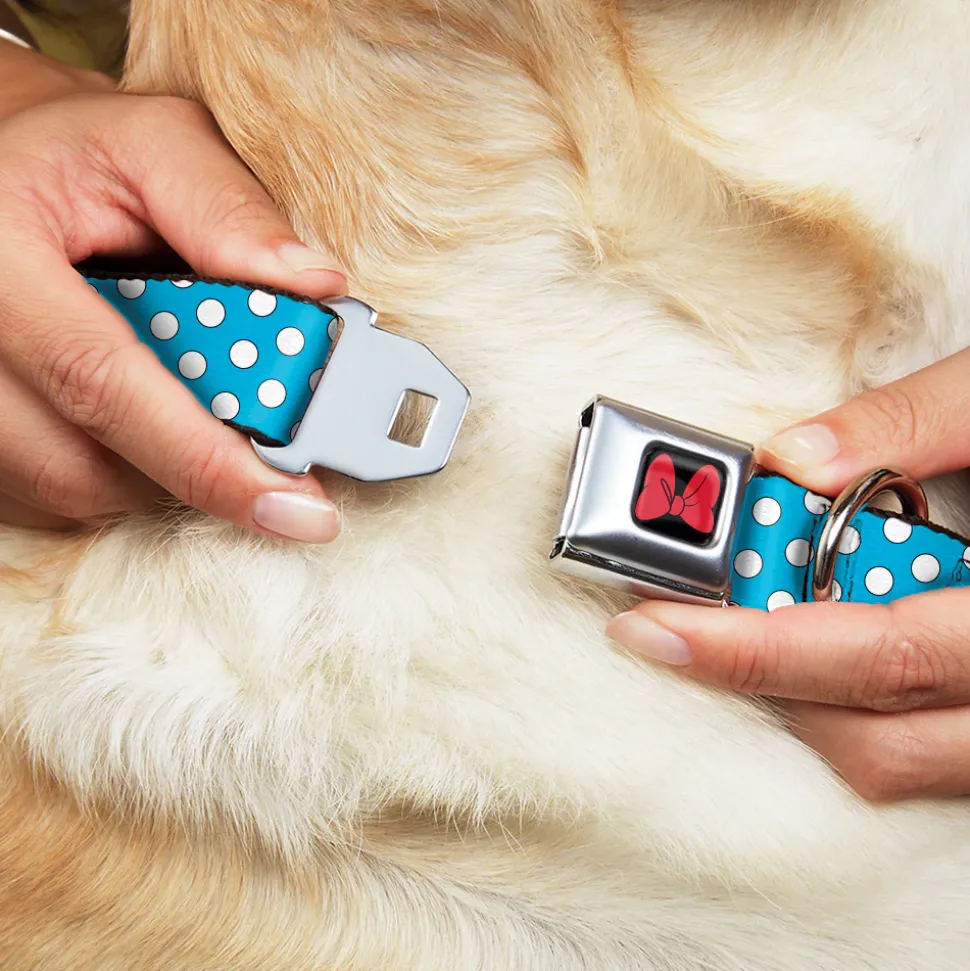 Dog Collar DYYR-Minnie Mouse Bow Full Color Black/Red - Minnie Mouse Dots Blue/Black/White