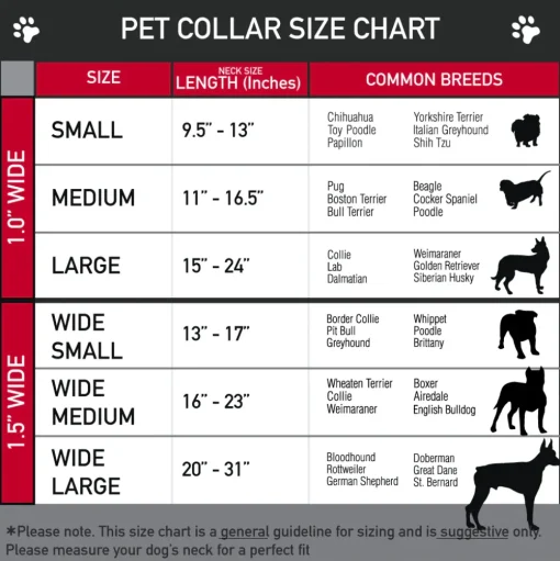 Dog House Full Color Black/Gray Seatbelt Buckle Collar - Disney Dogs 6-Dog Group Collage/Paws Gray/Black