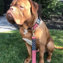 Dog Leash - Vintage US Flag Stretch